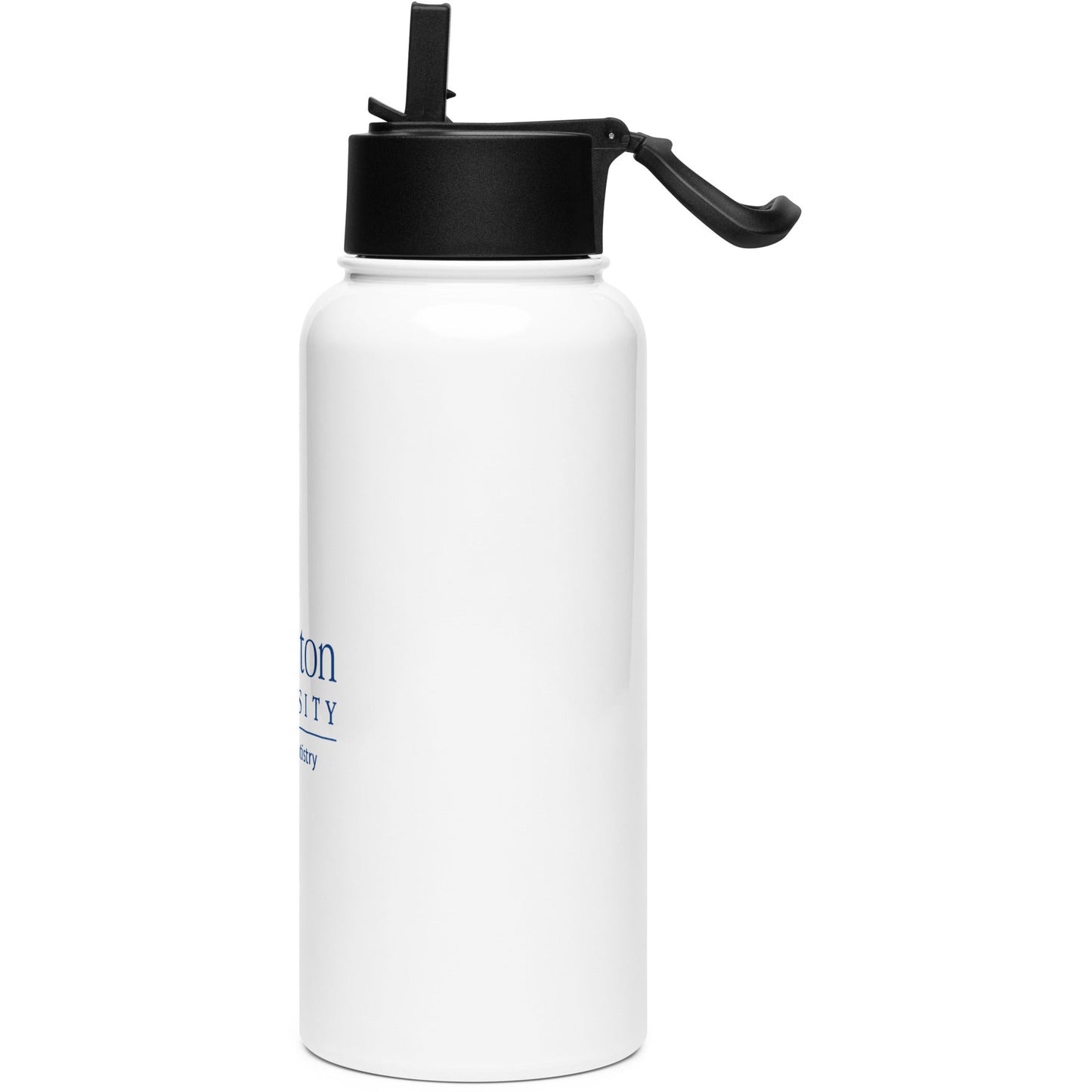 Stainless steel water bottle with a straw lid